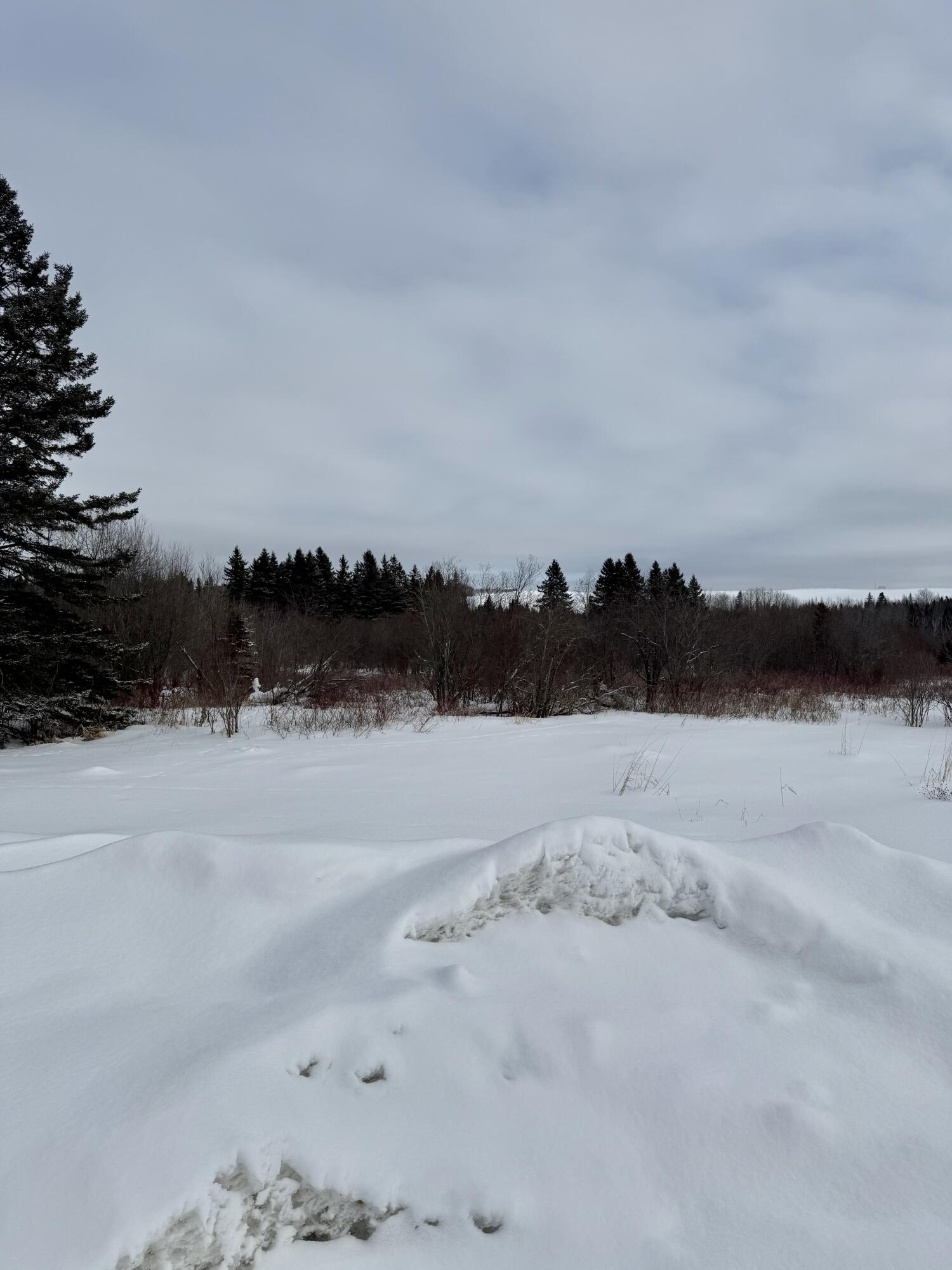 314 Flat Mountain Road St. Agatha, ME 04772 - Photo 13 of 62 Exterior