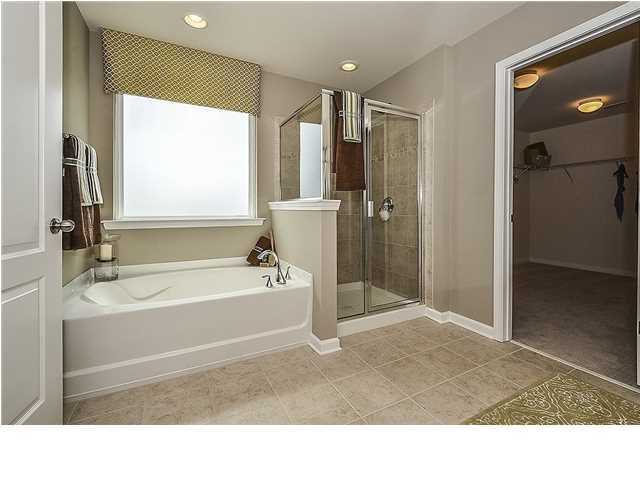 323 Bracken Fern Road Moncks Corner, SC 29461 - Photo 10 of 20 Additional Photo