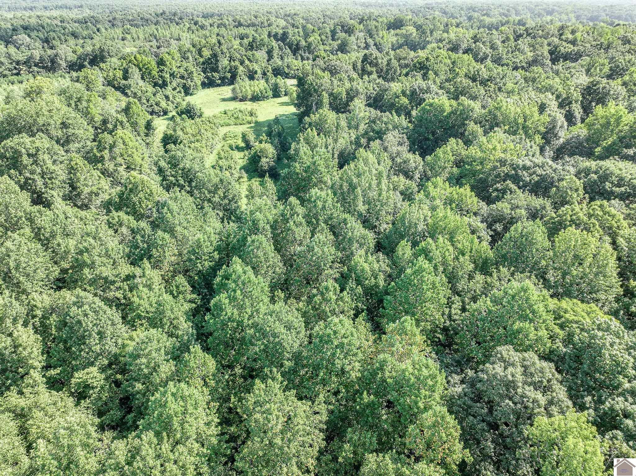 2733 Oak Level Elva Road Symsonia, KY 42082 - Photo 16 of 30 Aerial