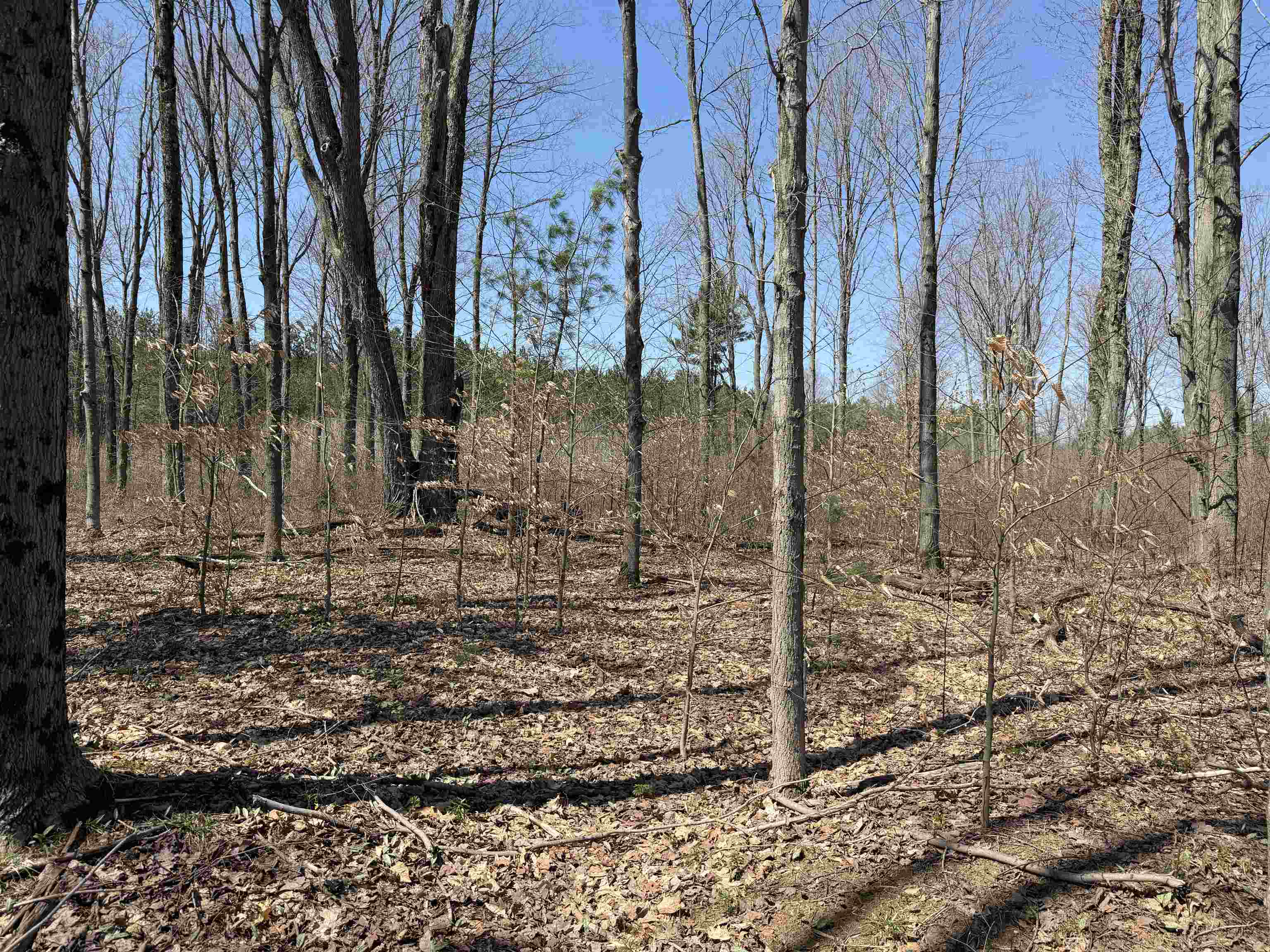 0 Landis Road Thompsonville, MI 49683 - Photo 2 of 26