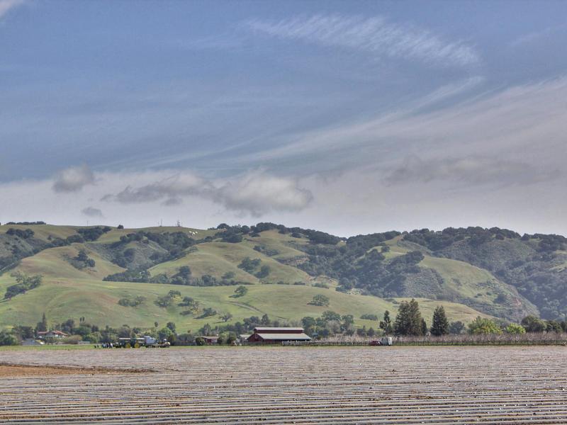 2799 East Pacheco Pass Road Gilroy, CA 95020 - Photo 31 of 32 Gallery Image 31