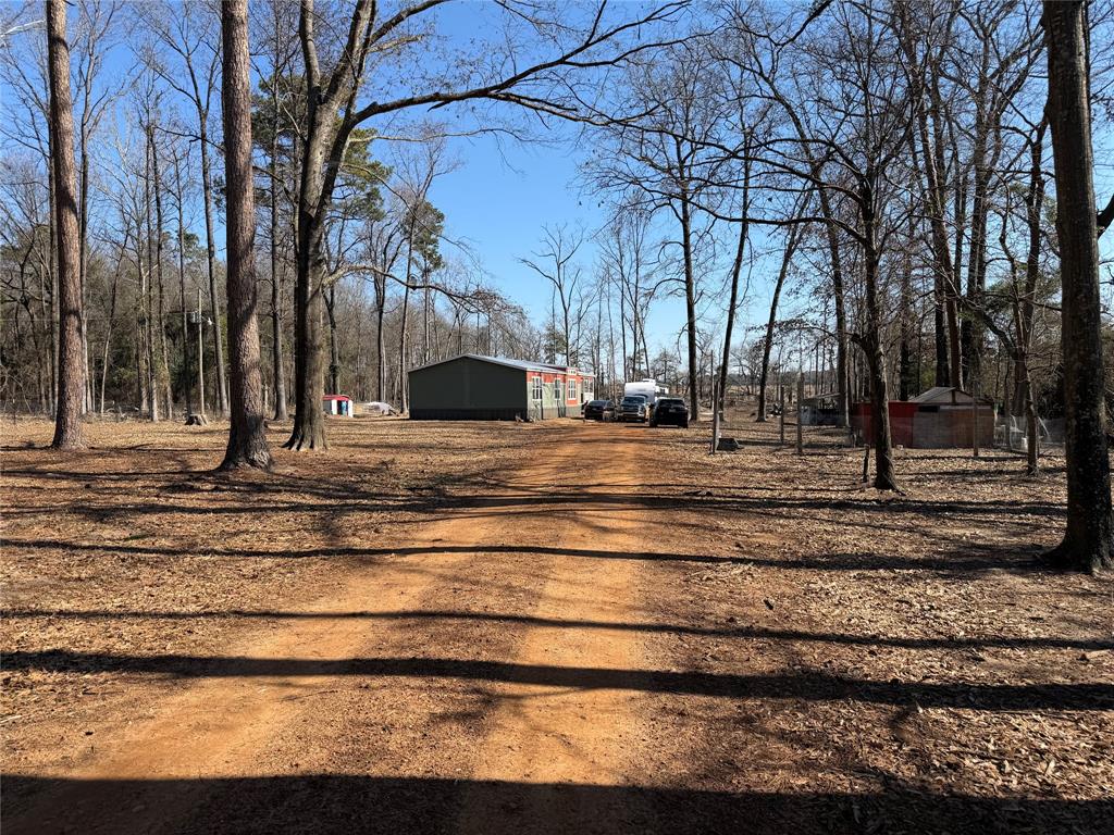 6164 Highway 259 Naples, TX 75568 - Photo 3 of 40