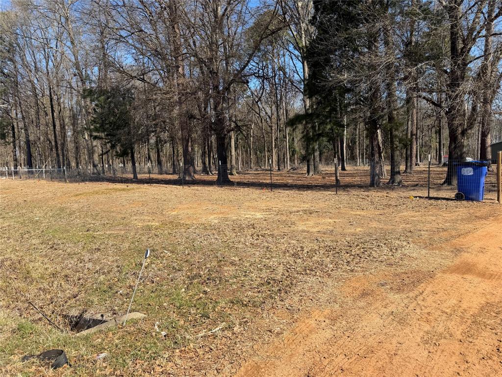 6164 Highway 259 Naples, TX 75568 - Photo 5 of 40