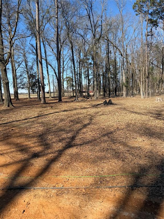 6164 Highway 259 Naples, TX 75568 - Photo 6 of 40