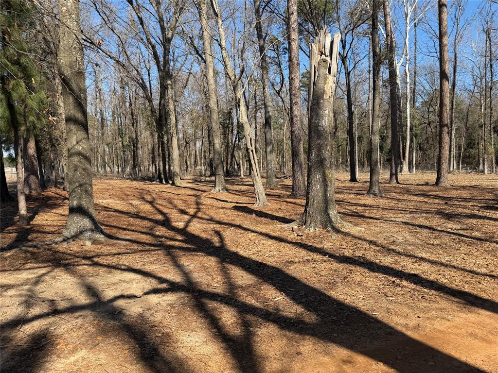 6164 Highway 259 Naples, TX 75568 - Photo 7 of 40