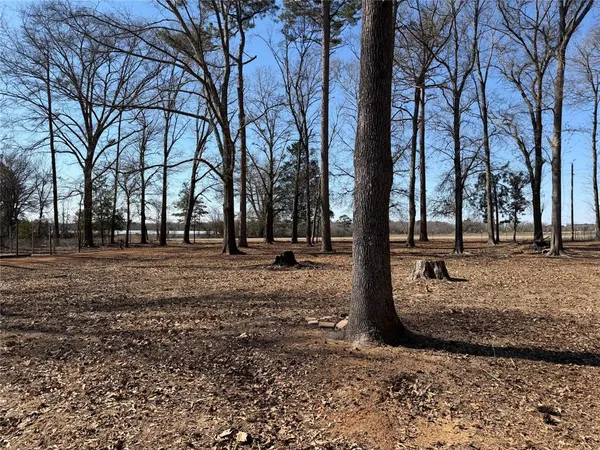 a view of outdoor space with lots of trees
