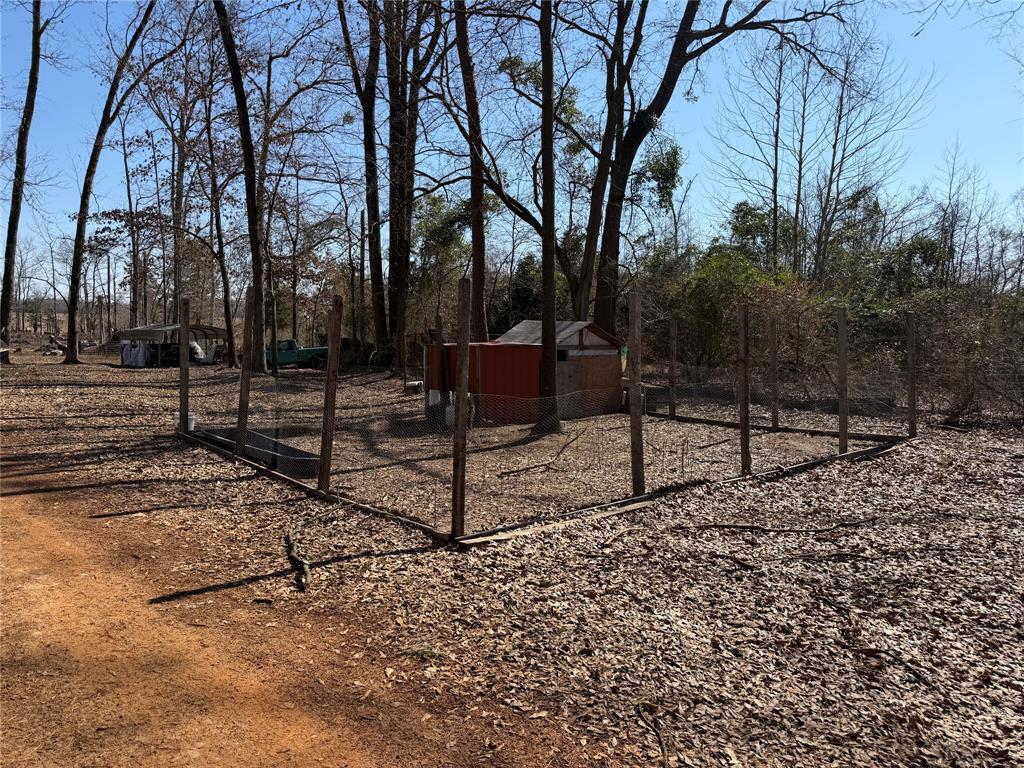 6164 Highway 259 Naples, TX 75568 - Photo 9 of 40