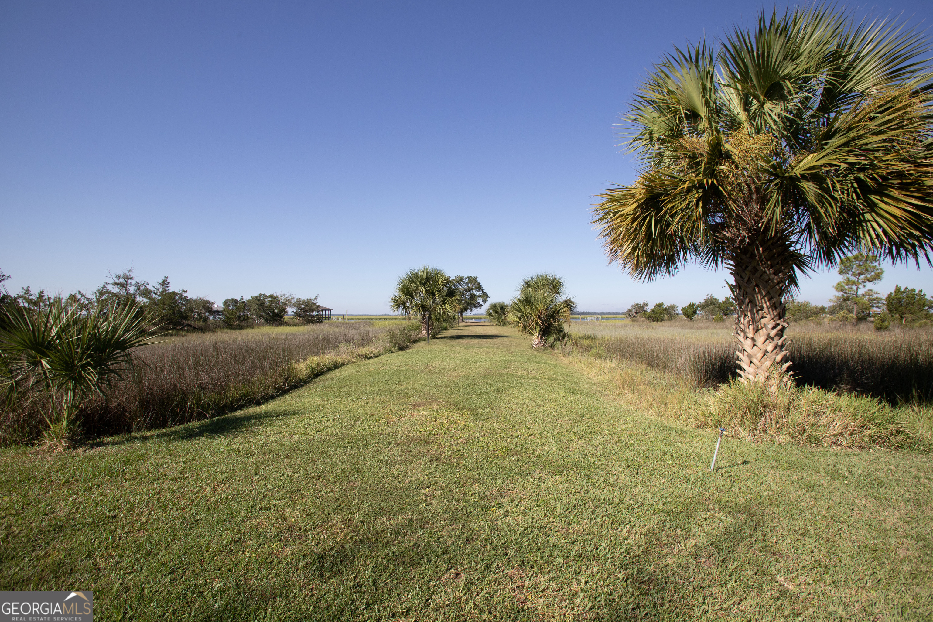743 Cattle Hammock Road Midway, GA 31320 - Photo 34 of 63 a view of a lake
