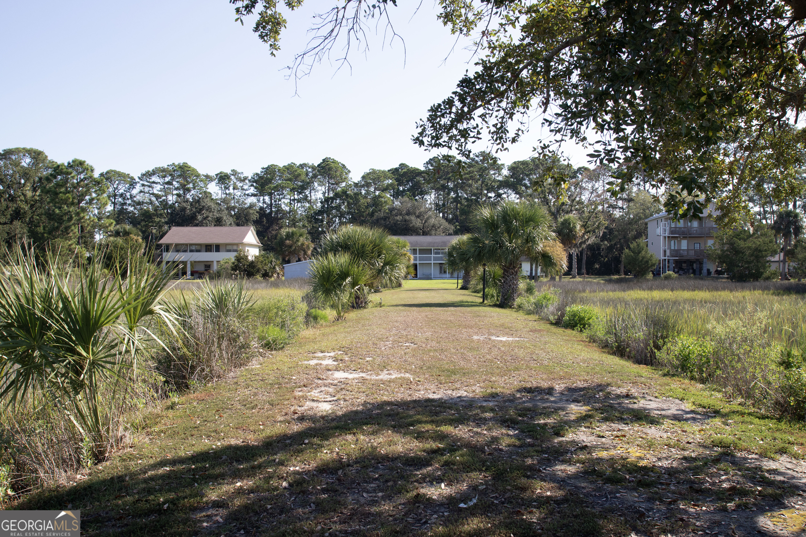 743 Cattle Hammock Road Midway, GA 31320 - Photo 36 of 63 a view of a street with a yard and plants