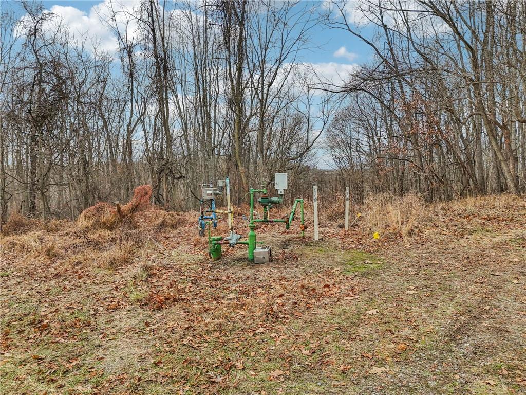 189 Lupyan Road New Alexandria, PA 15670 - Photo 48 of 50 a view of a yard with sitting area