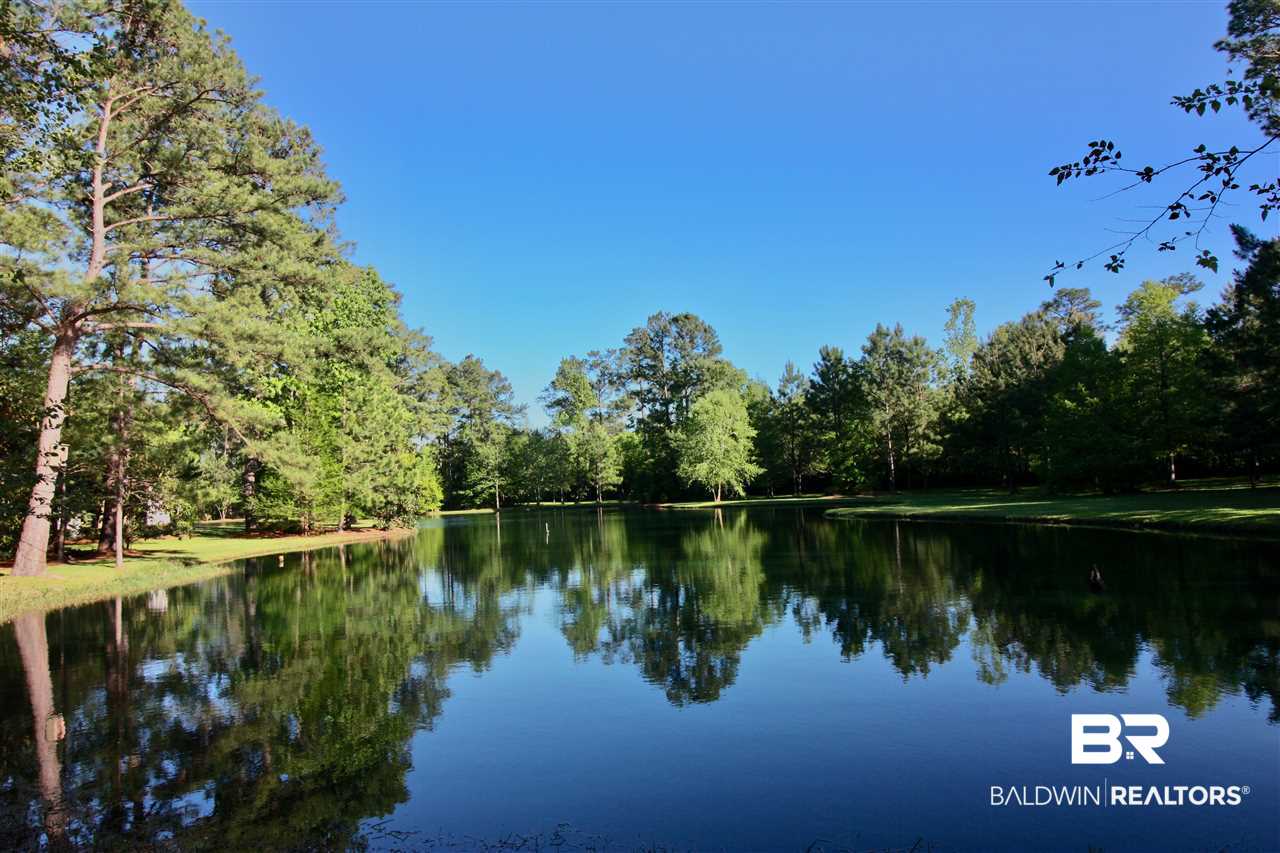 3423 Riviere Du Chien Road Mobile, AL 36693 - Photo 42 of 48