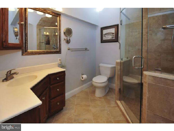344 Gribbel Road Wyncote, PA 19095 - Photo 15 of 25 Bathroom
