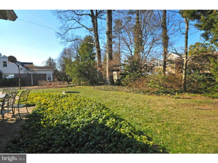 344 Gribbel Road Wyncote, PA 19095 - Photo 23 of 25 Back Yard