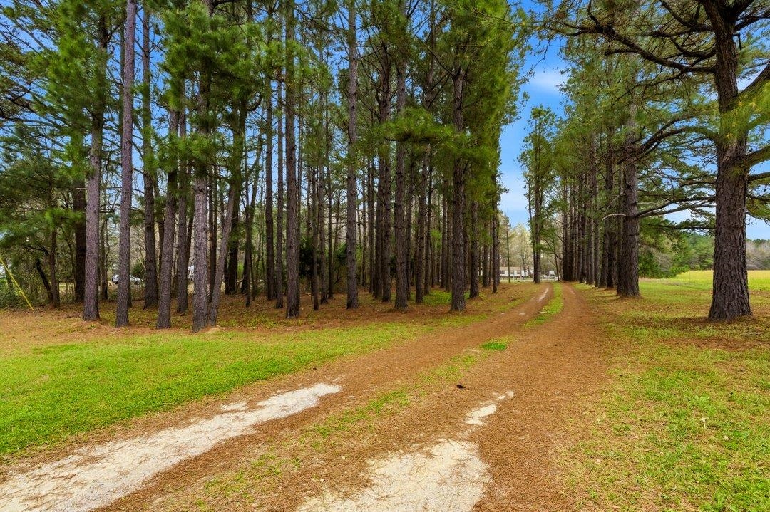 1258 Knotty Branch Road Conway, SC 29527 - Photo 2 of 47