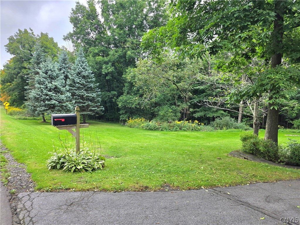 177 Yellow Barn Road Dryden, NY 13068 - Photo 3 of 49 Gallery Image 3