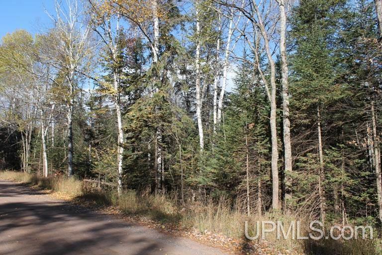 Tbd Missouri Rd - Co Rd 565, Unit LAT 46 31633 LON 87 5822 Gwinn, MI 49841 - Photo 20 of 30