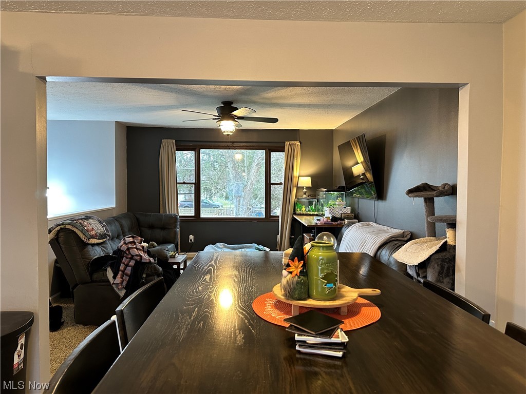 17 Sychar Road Mount Vernon, OH 43050 - Photo 15 of 27 Dining area featuring ceiling fan, a textured ceiling, and carpet flooring