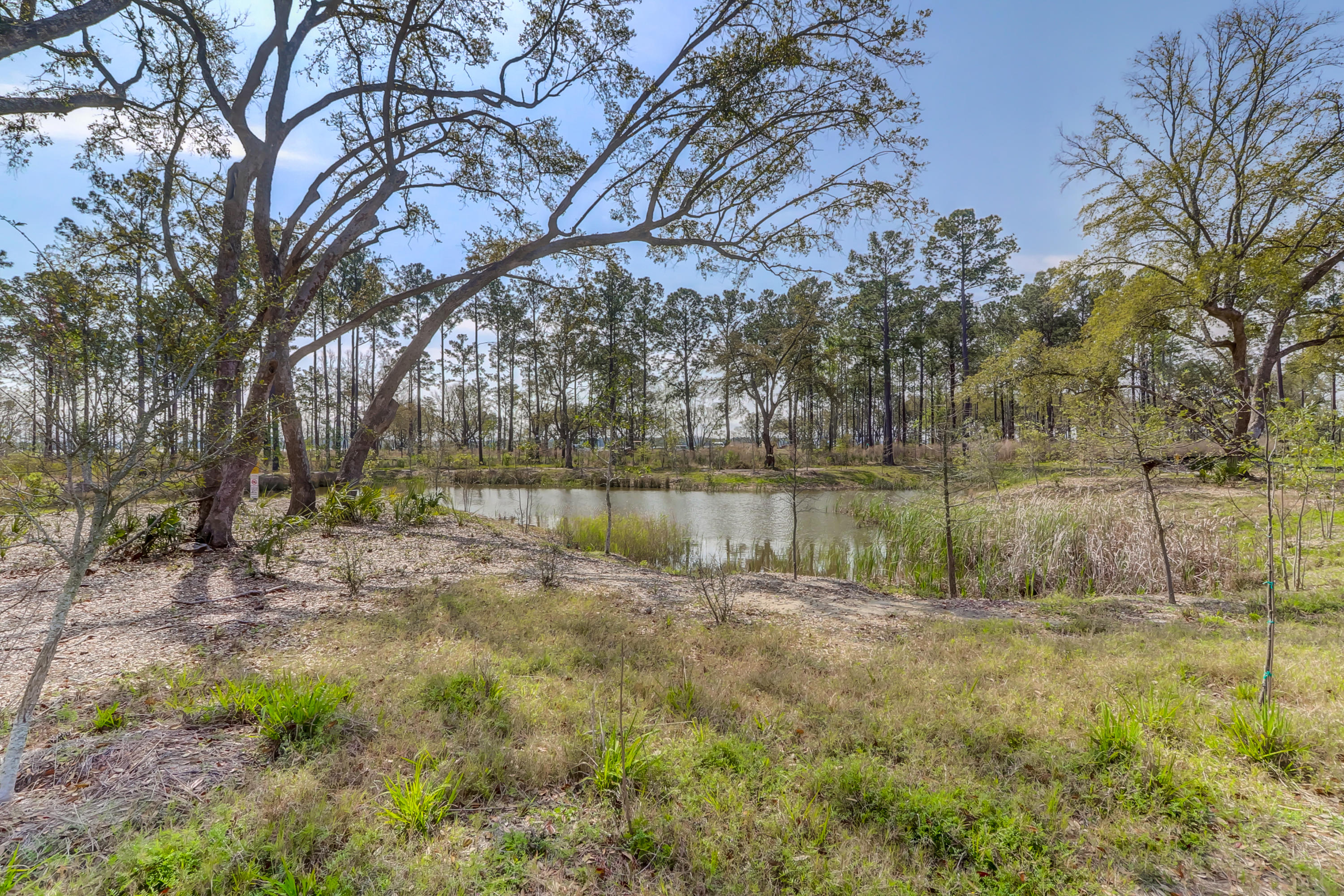 313 Bayley Road Charleston, SC 29492 - Photo 64 of 81 Daniel Island (12)