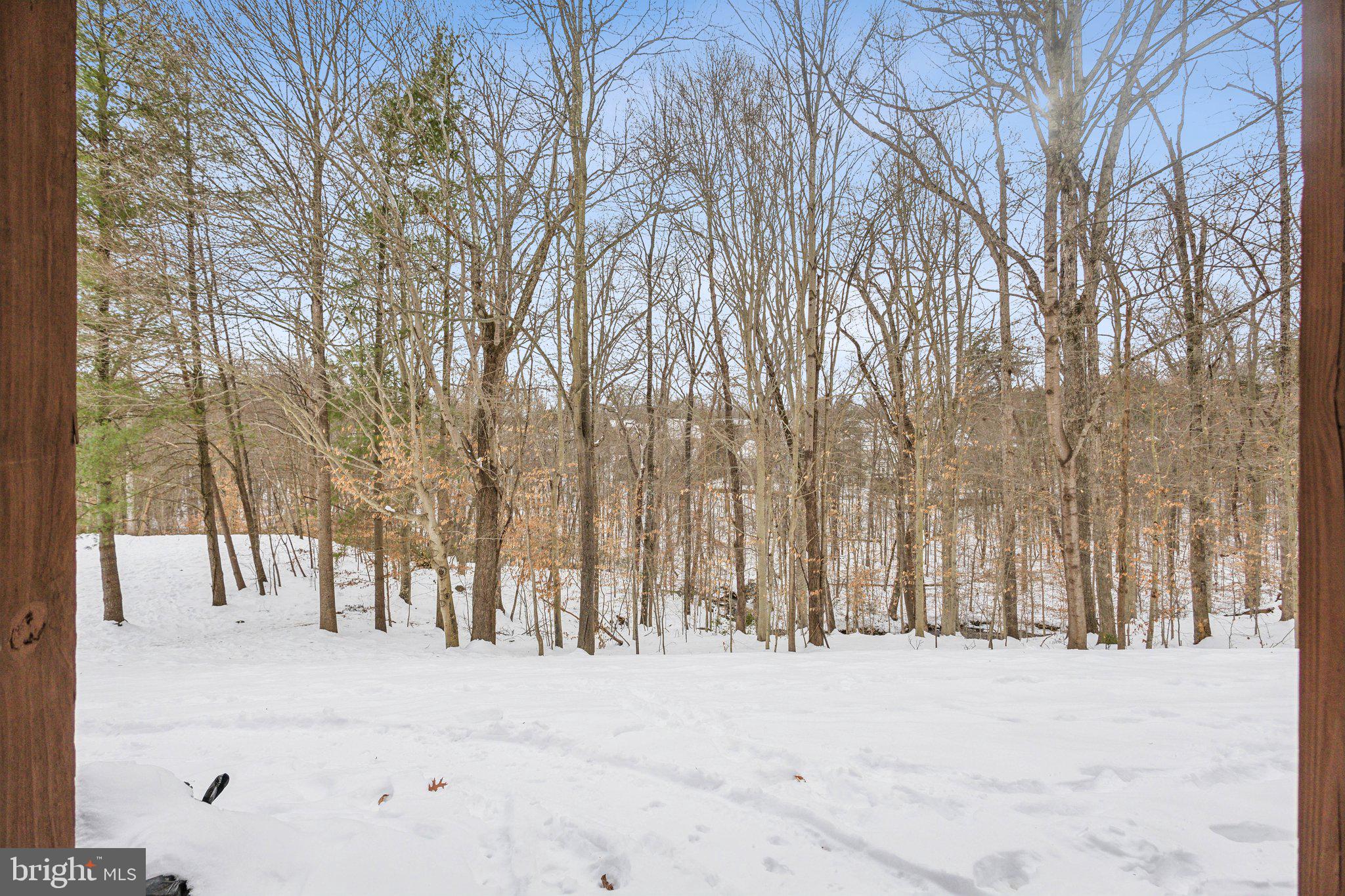 8868 Eagle Rock Lane Springfield, VA 22153 - Photo 22 of 24 Backs Up to wooded park