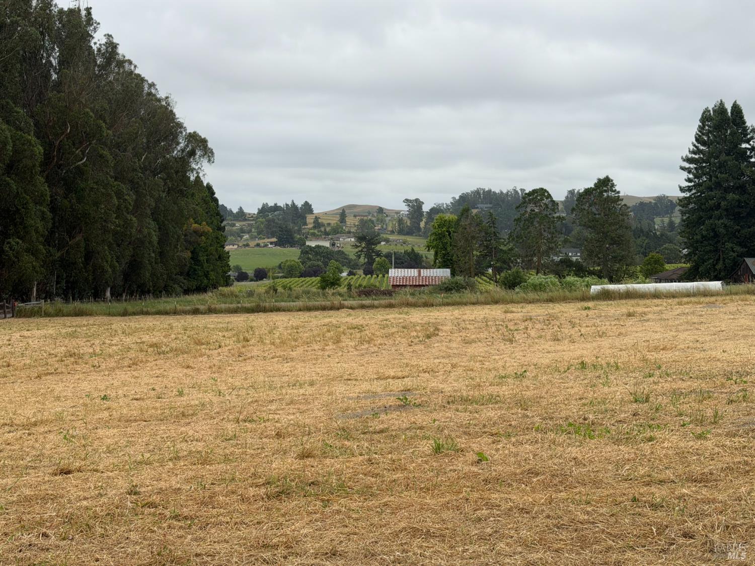 4758 Blank Road Sebastopol, CA 95472 - Photo 12 of 14