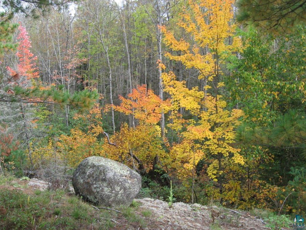 1687 Golden Ridge Trail Ely, MN 55731 - Photo 4 of 28 Gallery Image 4