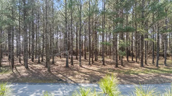 a view of park space