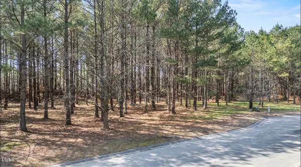a view of backyard with green space