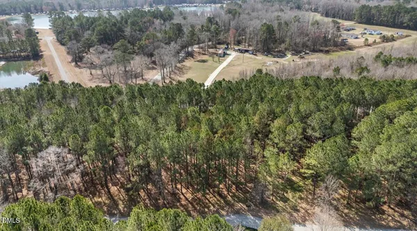 a view of a forest from a window