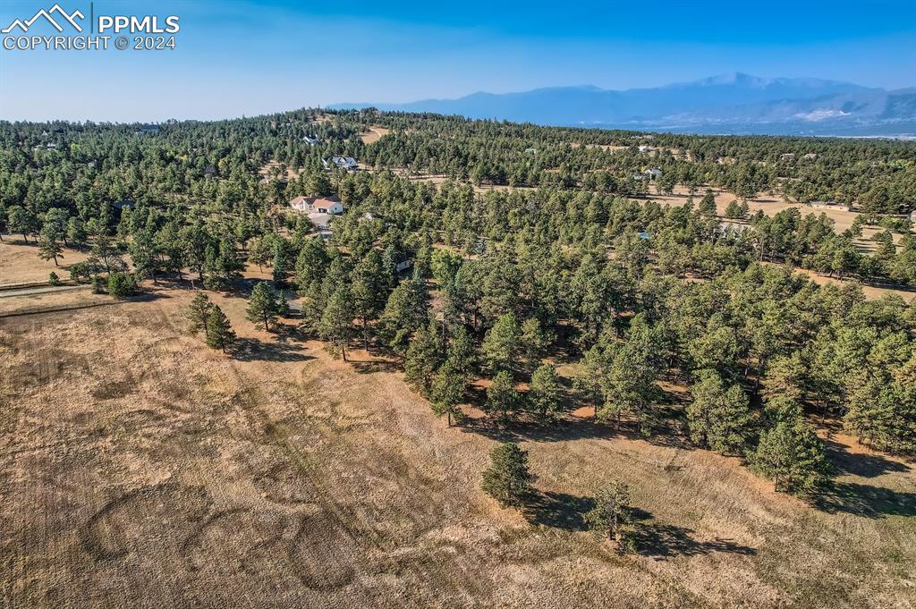 11330 Holmes Road Colorado Springs, CO 80908 - Photo 34 of 40