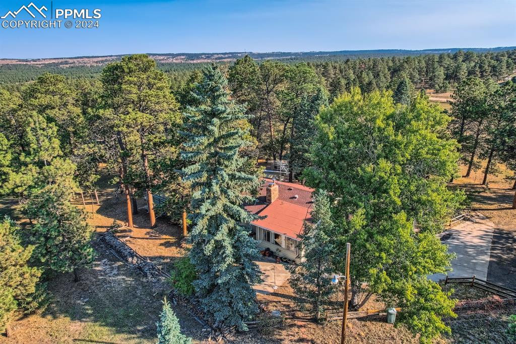 11330 Holmes Road Colorado Springs, CO 80908 - Photo 36 of 40