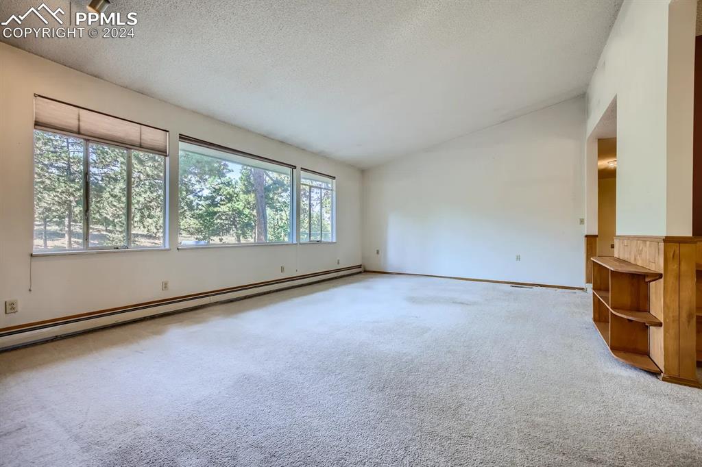 11330 Holmes Road Colorado Springs, CO 80908 - Photo 4 of 40