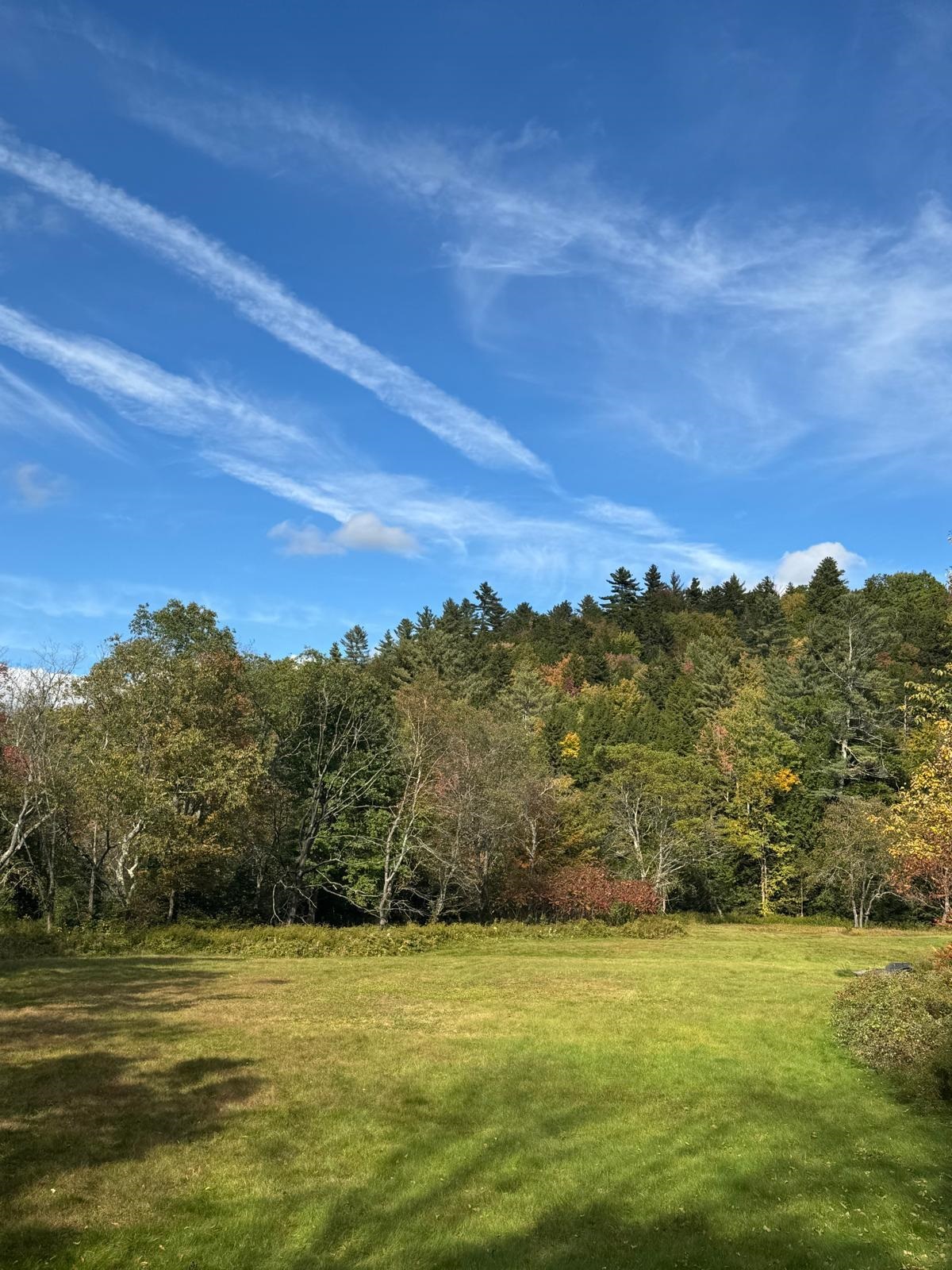 446 Walker Brook Road Danbury, NH 03230 - Photo 51 of 54