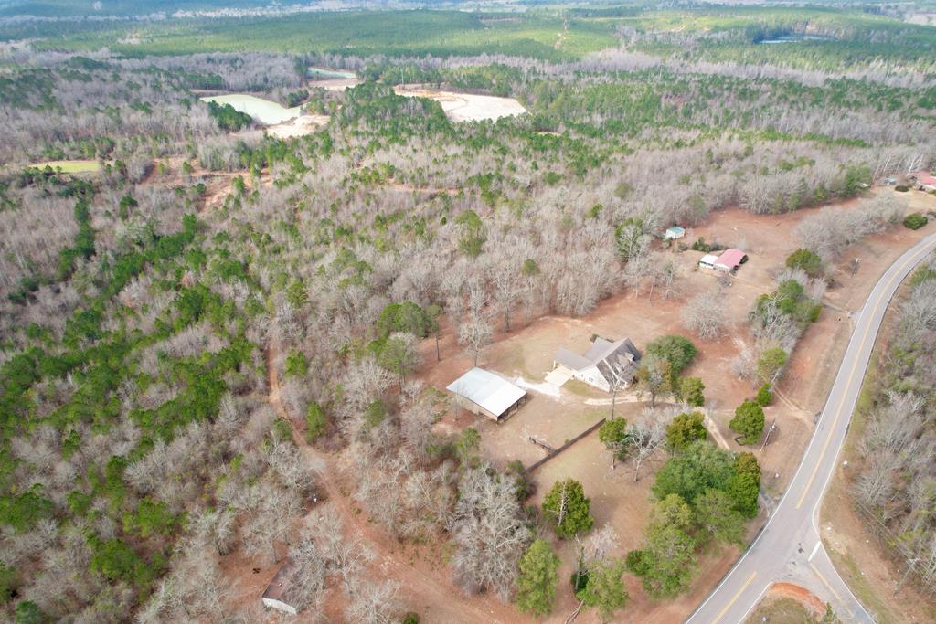 6325 Highway 95 Abbeville, AL 36310 - Photo 68 of 72