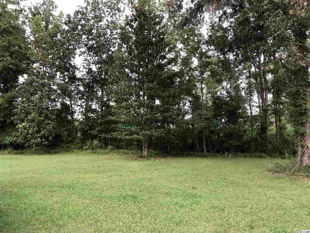 1340 Brick Chimney Road Georgetown, SC 29440 - Photo 27 of 30 Gallery Image 27