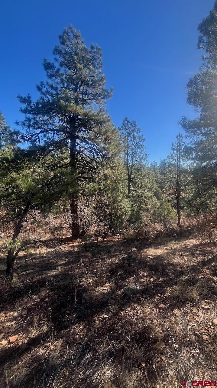 152 Lane Drive Durango, CO 81303 - Photo 12 of 19 a view of a yard with a yard