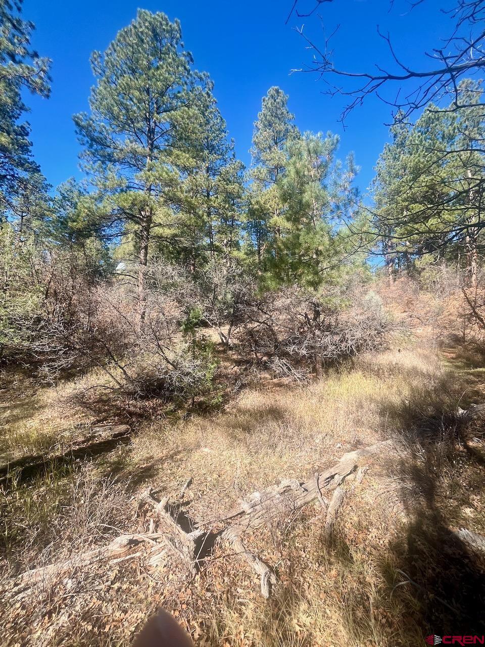 152 Lane Drive Durango, CO 81303 - Photo 13 of 19 a view of a bunch of trees