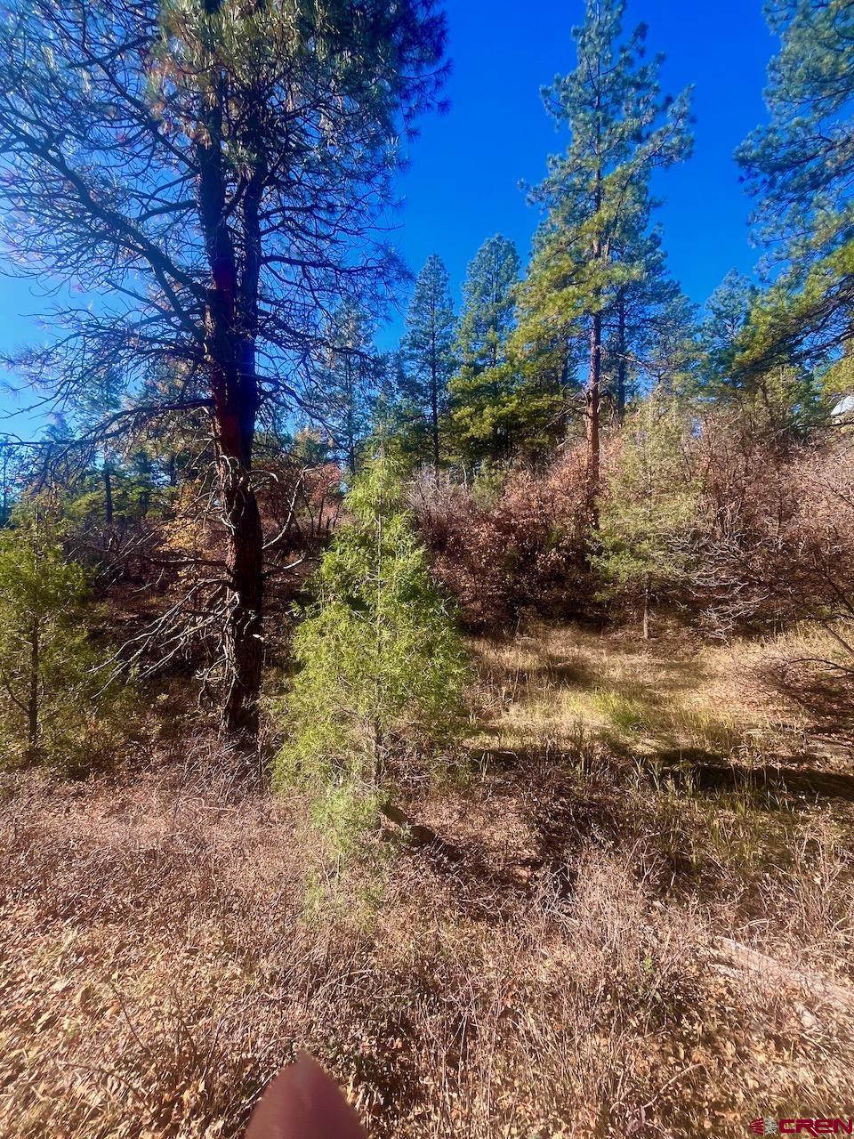152 Lane Drive Durango, CO 81303 - Photo 14 of 19 a view of a yard