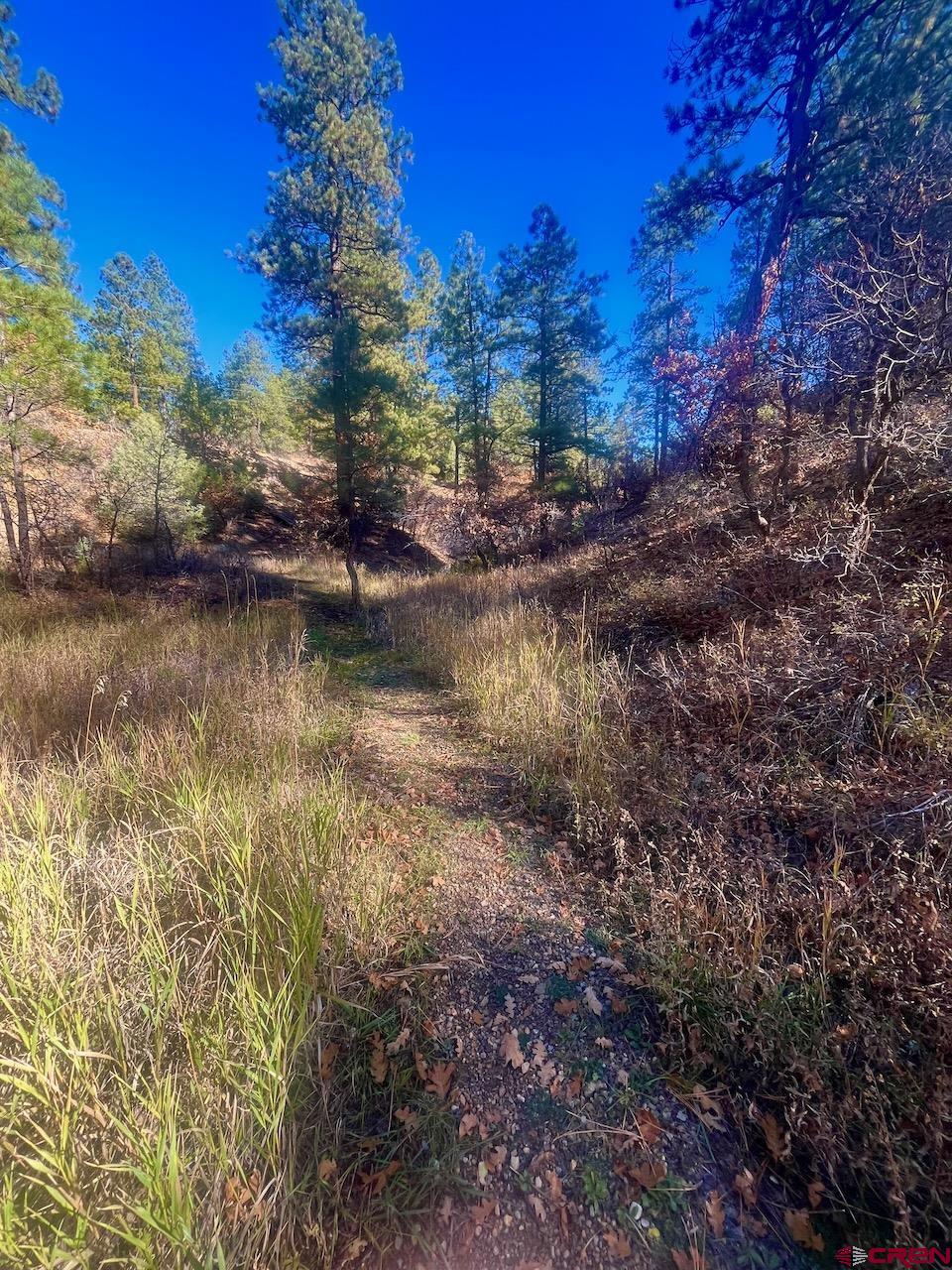 152 Lane Drive Durango, CO 81303 - Photo 17 of 19 a view of a lake with houses