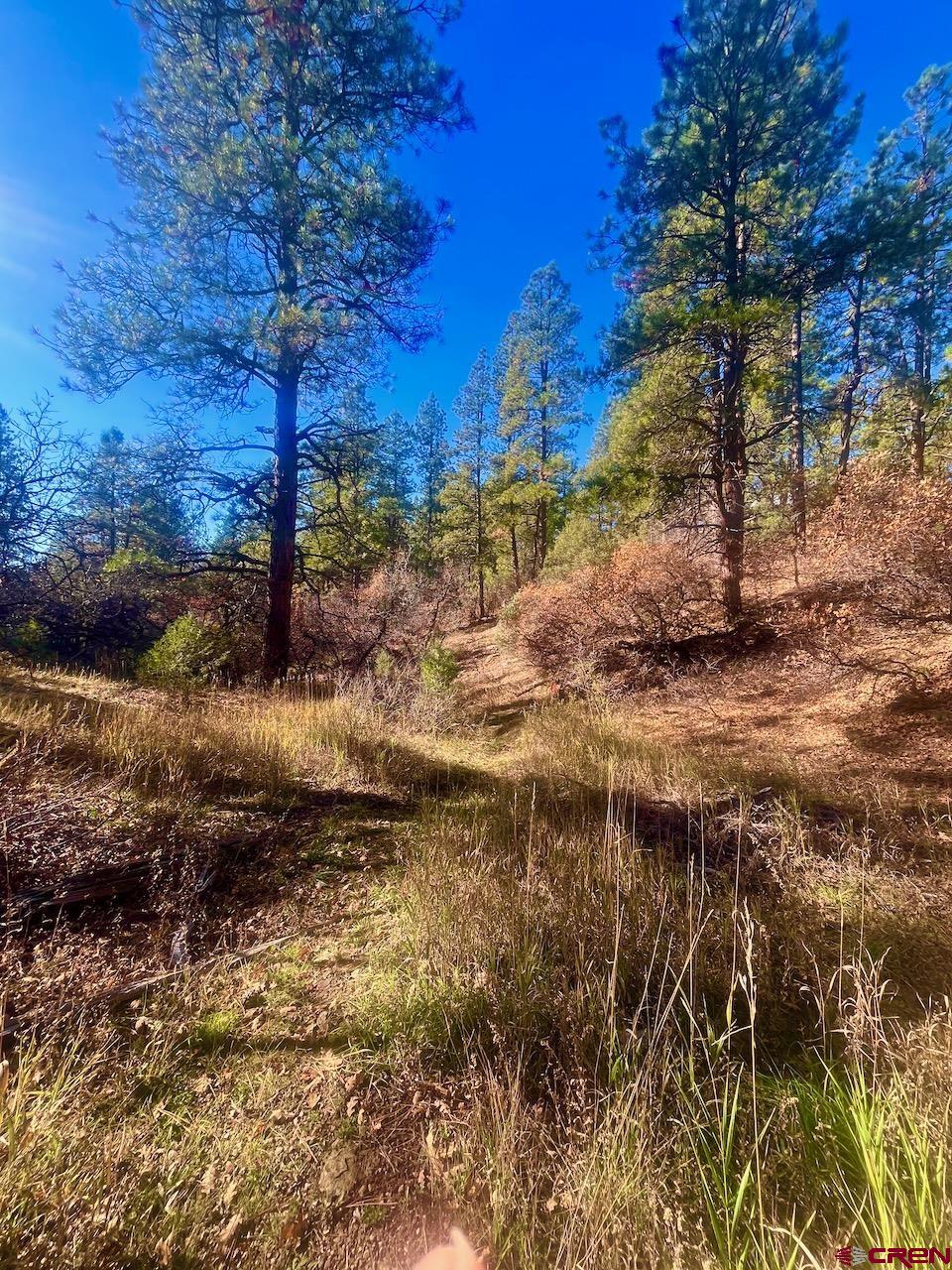 152 Lane Drive Durango, CO 81303 - Photo 2 of 19 a view of a lake with a tree