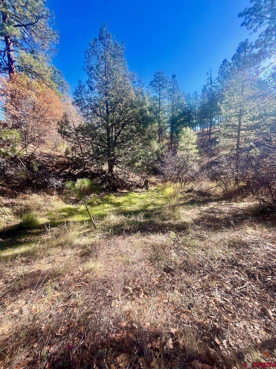 152 Lane Drive Durango, CO 81303 - Photo 4 of 19 a view of a lake with houses