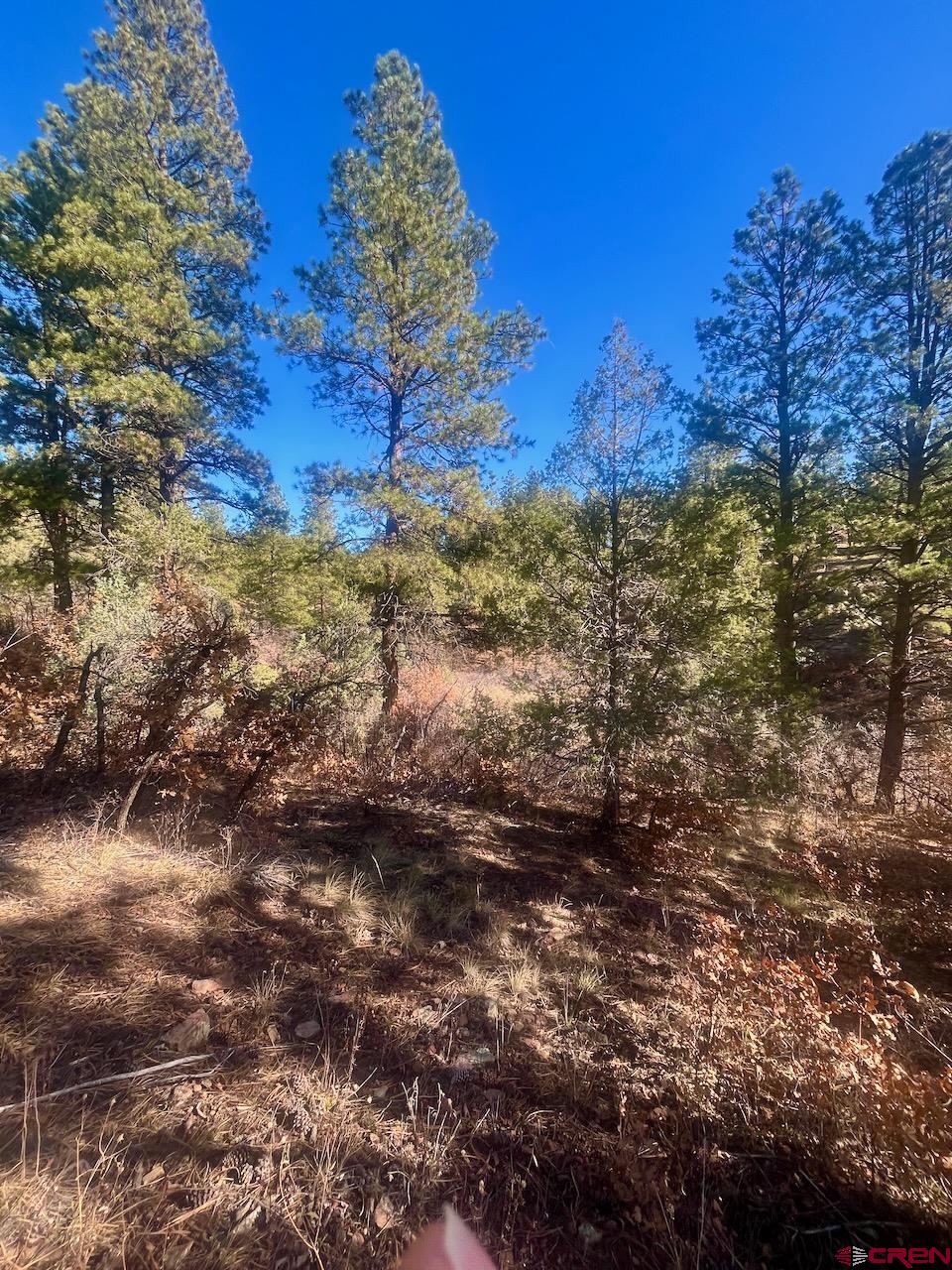 152 Lane Drive Durango, CO 81303 - Photo 7 of 19