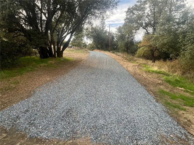 a view of road and trees