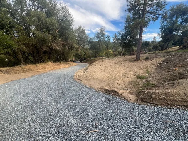 a view of road with large trees
