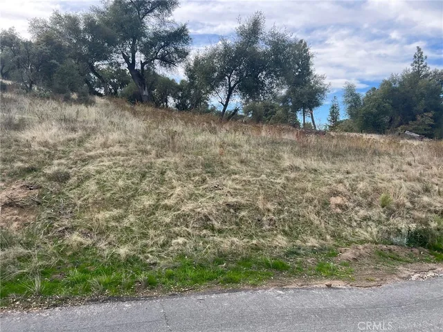 a view of a yard with trees