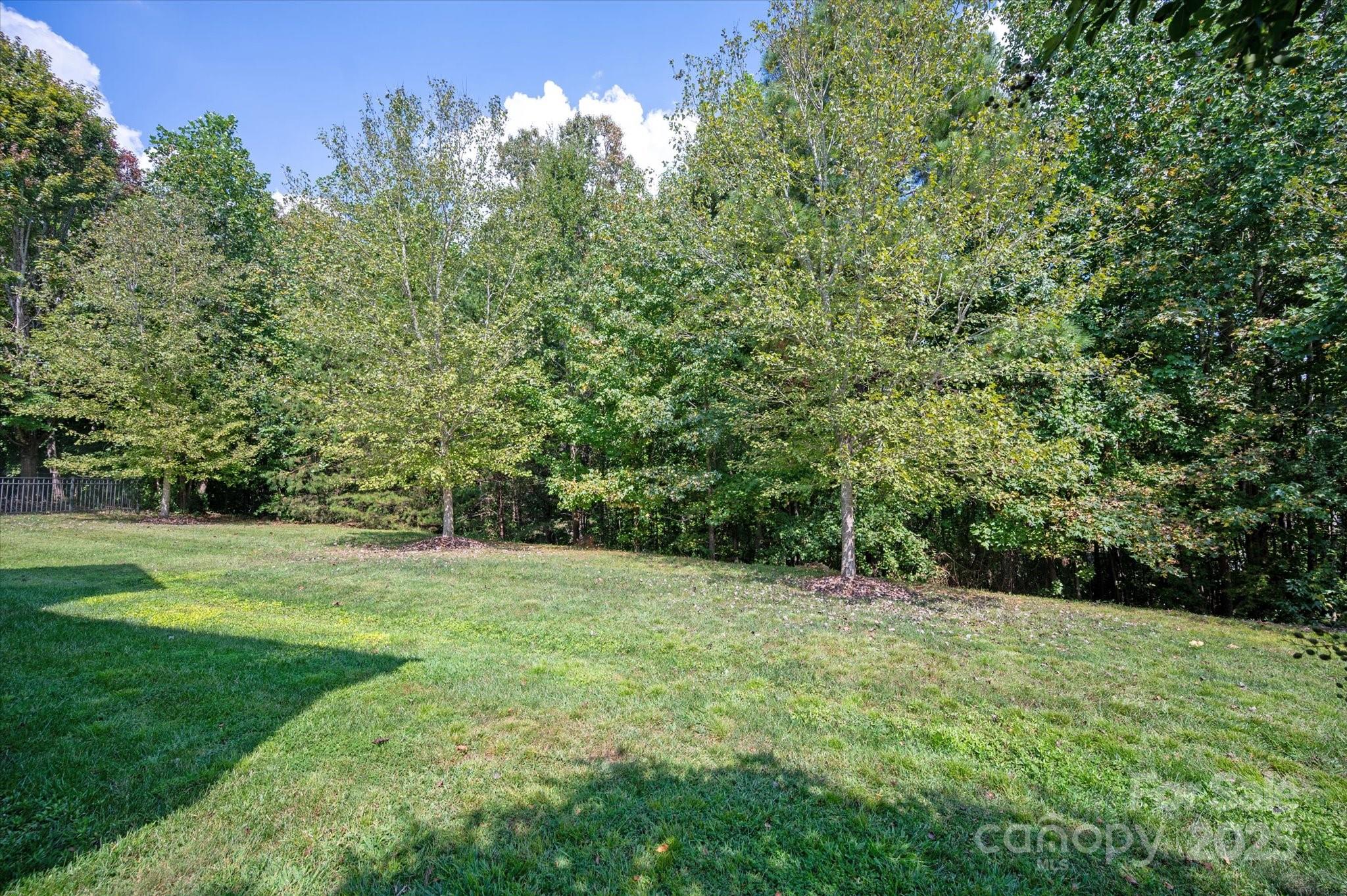 945 Vogel Way Fort Mill, SC 29715 - Photo 36 of 47 a view of a grassy field with trees in the background