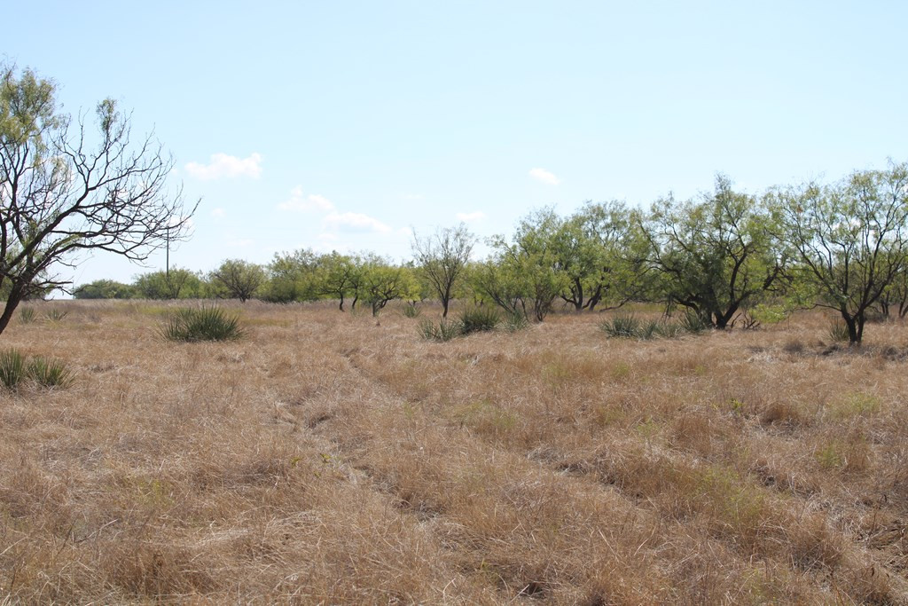 0 County Road Talpa, TX 76882 - Photo 2 of 22 Photo 2