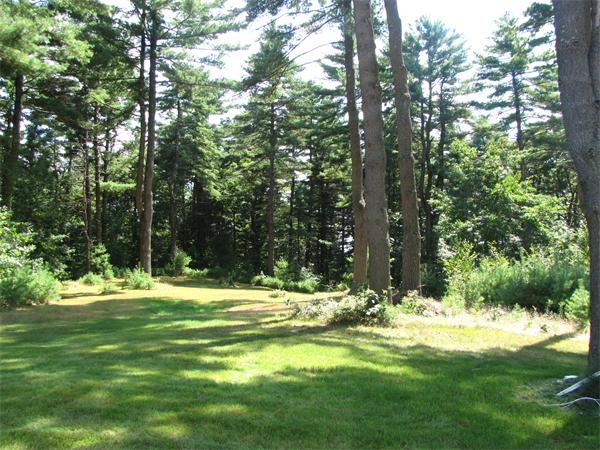 66 Harvard Road Stow, MA 01775 - Photo 27 of 30 a view of outdoor space with trees