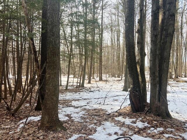 0 West Adams Road Hesperia, MI 49421 - Photo 53 of 74