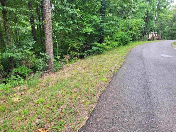 a view of a pathway with a yard