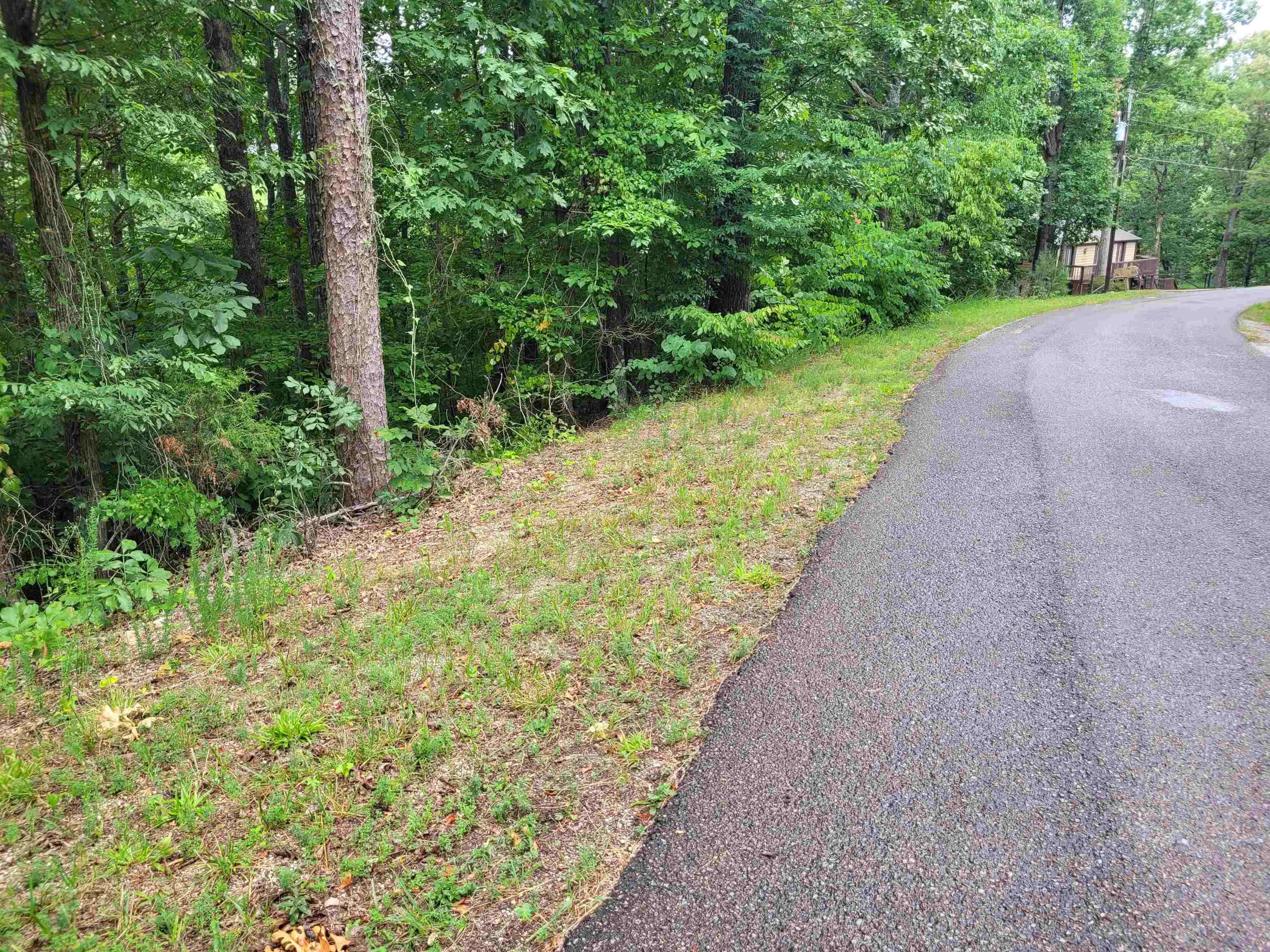 0 Yeager Lane Counce, TN 38326 - Photo 2 of 9 a view of a pathway with a yard